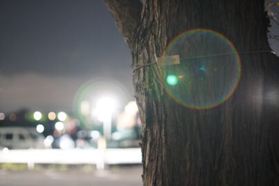 7Artisans 35mm f0.95 夕暮れ フレア