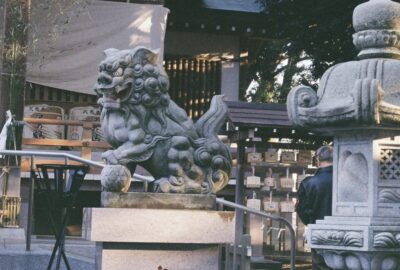 狛犬と灯籠の写真