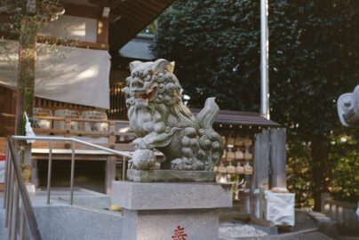 狛犬の写真